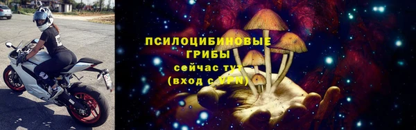 прущие крисы Балахна