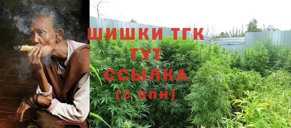прущие крисы Балахна